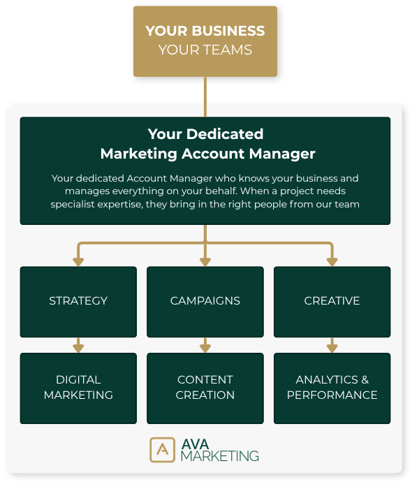 dedicated marketing team
